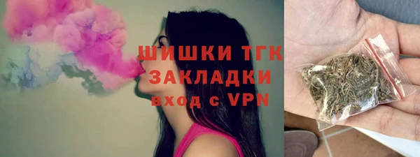 дживик Вязьма