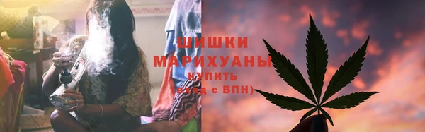 дживик Вязьма