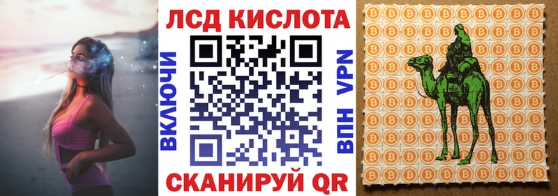 где купить наркоту  Чердынь  Наркотические марки 1,5мг 