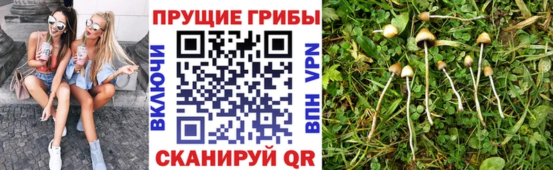мега зеркало  Чердынь  Галлюциногенные грибы ЛСД 